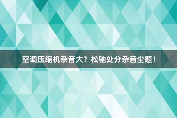 空调压缩机杂音大？松驰处分杂音尘题！